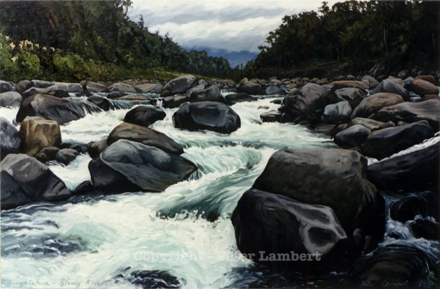 Hangatahua / Stony River - 1989, Sold