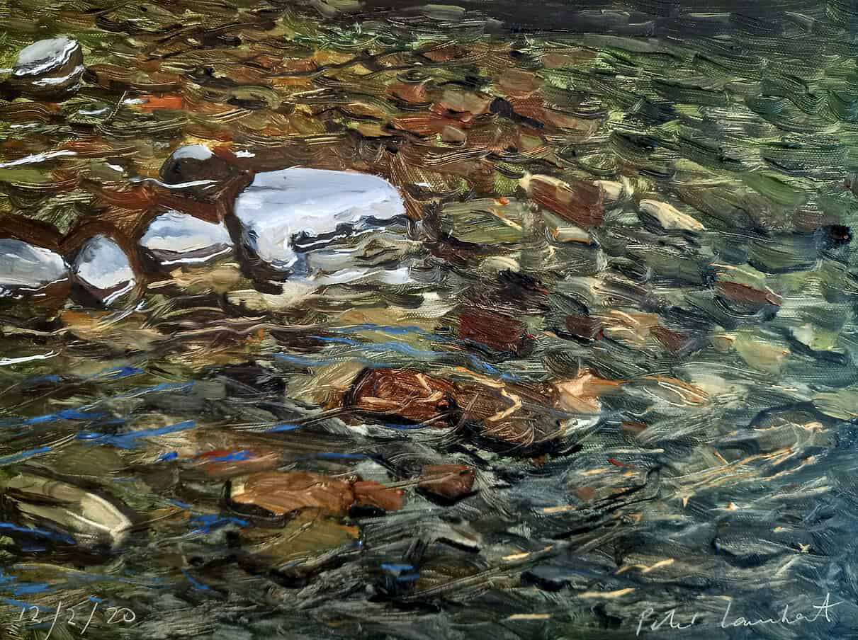 “Stony River Study”