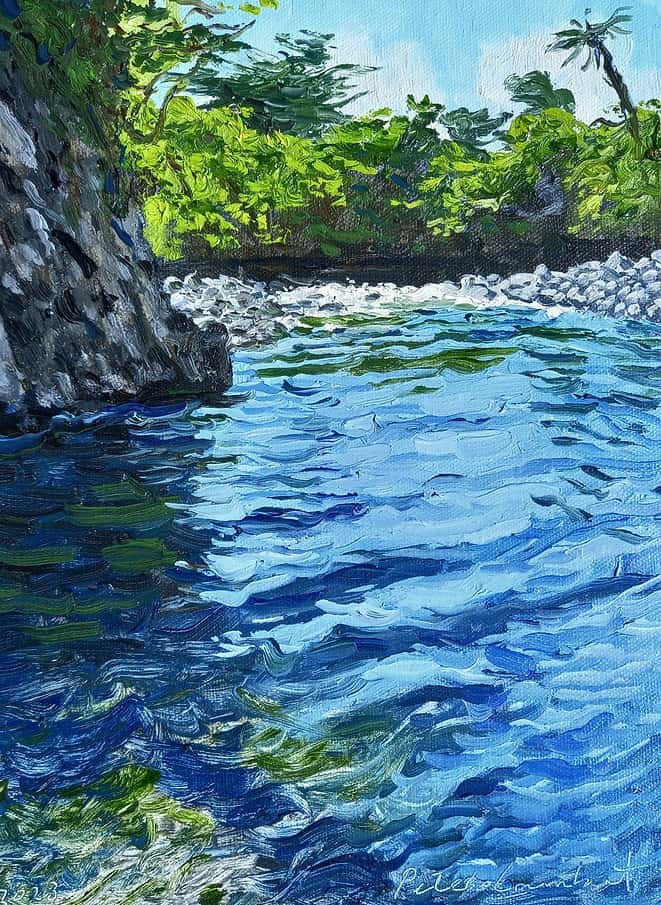 Stony River Study